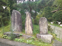 SN3F0039.JPG