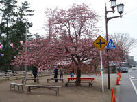 P2240057.JPG