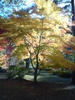 SN3E0347.JPG