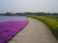 SN3E0385.JPG