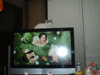 DSCF0363.JPG