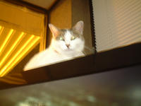 DSCF0364.JPG