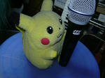 DSCN0046.JPG