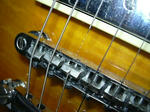 DSCN0053.JPG