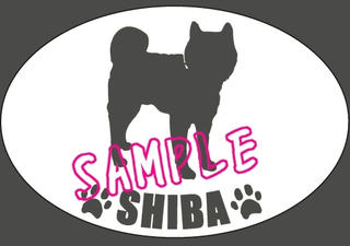 SHIBA_1019.jpg