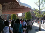 PICT8987-2.jpg