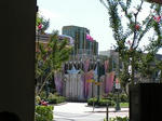 PICT8991-2.jpg