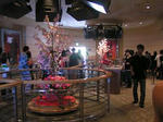 PICT8996-2.jpg