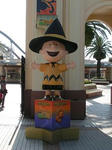 PICT0074-2.jpg