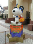 PICT0840-2.jpg