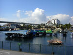 resize0053.jpg
