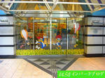 resize0163.jpg