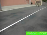 CIMG1694-2.jpg
