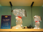 CIMG1633-2.jpg