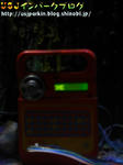 CIMG5217-2.jpg