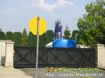CIMG7448-2.jpg