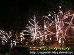 PICT3422-2.jpg