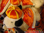 CIMG7703-2.jpg