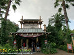 CIMG0527-2.jpg