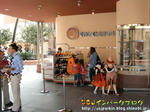 CIMG4811-3.jpg