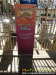 CIMG7600-2.jpg