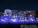 CIMG7807-2.jpg