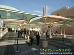 CIMG0471-3.jpg