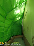 CIMG0447-3.jpg