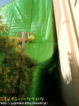 CIMG0446-2.jpg