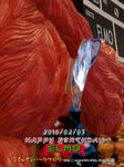 CIMG1167-2.jpg