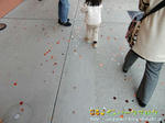 CIMG2428-2.jpg