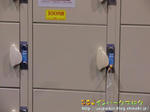 CIMG3253-2.jpg