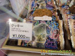 CIMG4983-2.jpg