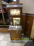 CIMG5869-2.jpg