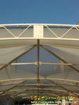 CIMG5780-2.jpg
