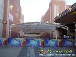 DSC00535-2.jpg