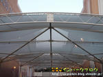 DSC00537-2.jpg