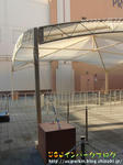 CIMG5796-2.jpg