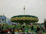 CIMG5111-2.jpg