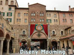 CIMG6945-2.jpg