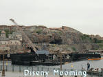CIMG6958-2.jpg