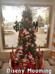 CIMG6981-2.jpg