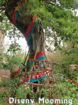 CIMG7017-2.jpg
