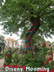 CIMG7031-2.jpg