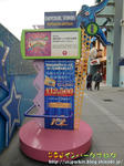 CIMG8641-2.jpg