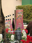 CIMG8648-2.jpg
