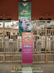 CIMG8655-2.jpg