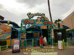CIMG8685-2.jpg