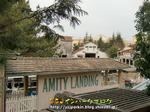 CIMG3171-2.jpg