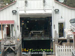CIMG3207-0.jpg